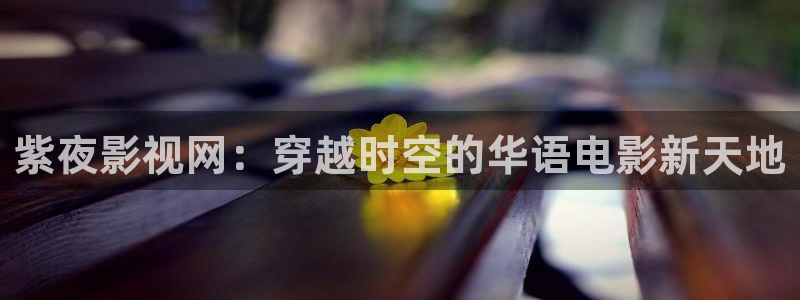 6080新视觉电影理论电视剧在线观看meim