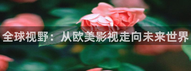 香港理论电影理论片在线播放