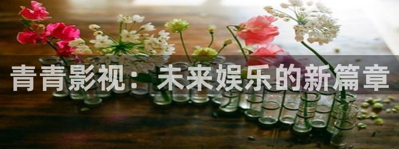 年轻的小婊孑3韩国理论电影
