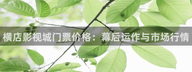 日本理论大全电影
