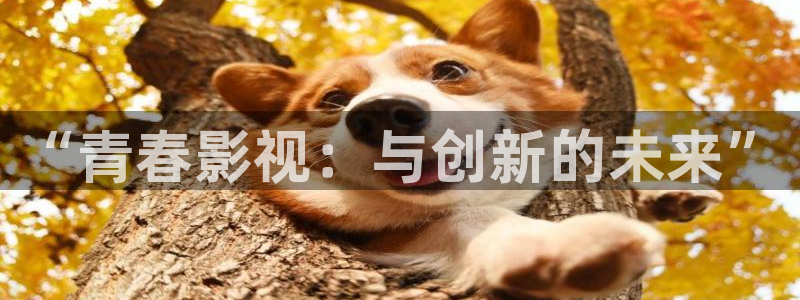 6080理论 电影