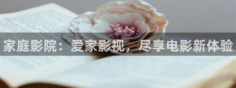韩国理论高清电影