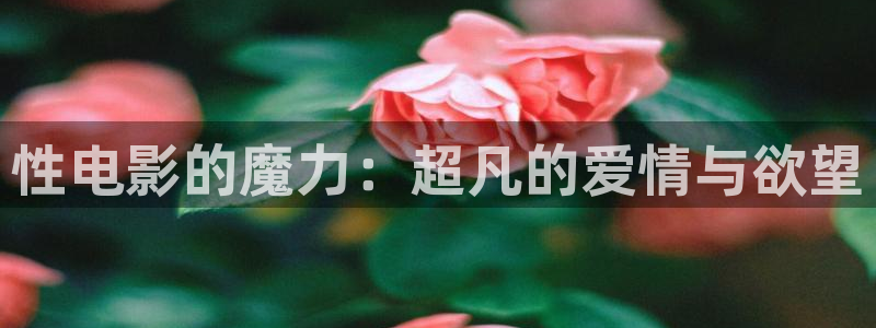 理论与电影